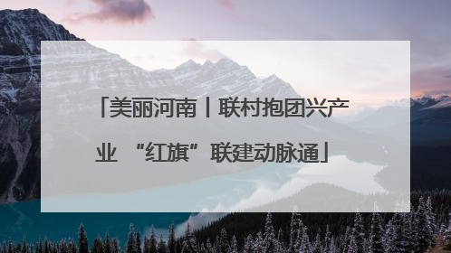 美丽河南丨联村抱团兴产业 “红旗”联建动脉通