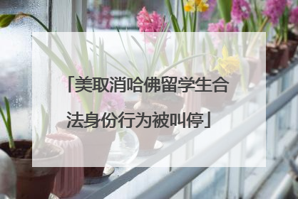 美取消哈佛留学生合法身份行为被叫停