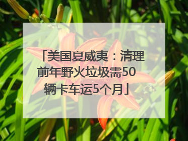 美国夏威夷：清理前年野火垃圾需50辆卡车运5个月