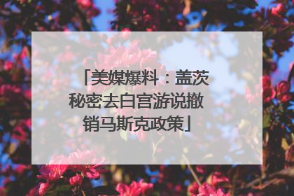 美媒爆料：盖茨秘密去白宫游说撤销马斯克政策