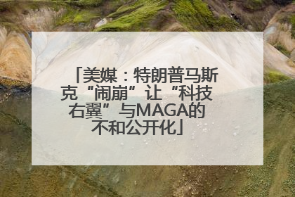 美媒：特朗普马斯克“闹崩”让“科技右翼”与MAGA的不和公开化