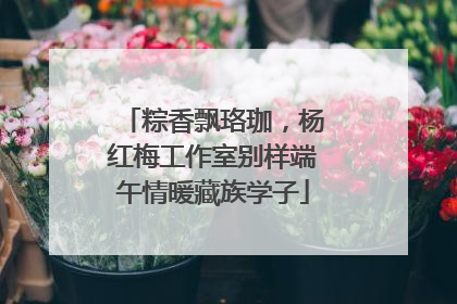粽香飘珞珈，杨红梅工作室别样端午情暖藏族学子