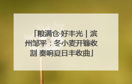 粮满仓·好丰光｜滨州邹平：冬小麦开镰收割 奏响夏日丰收曲