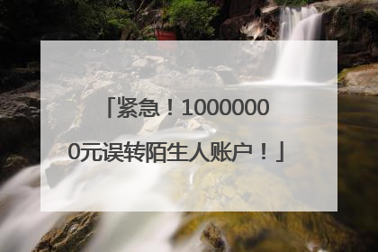 紧急！10000000元误转陌生人账户！