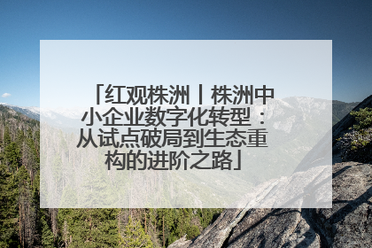 红观株洲丨株洲中小企业数字化转型：从试点破局到生态重构的进阶之路