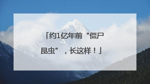 约1亿年前“僵尸昆虫”，长这样！