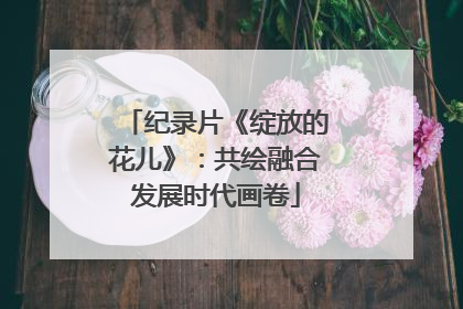 纪录片《绽放的花儿》：共绘融合发展时代画卷