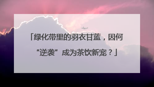 绿化带里的羽衣甘蓝，因何“逆袭”成为茶饮新宠？