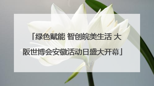绿色赋能 智创皖美生活 大阪世博会安徽活动日盛大开幕
