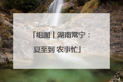 组图丨湖南常宁：夏至到 农事忙