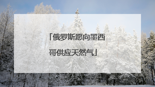 俄罗斯愿向墨西哥供应天然气