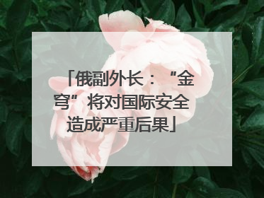 俄副外长：“金穹”将对国际安全造成严重后果