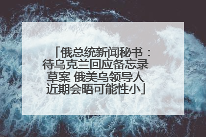 俄总统新闻秘书：待乌克兰回应备忘录草案 俄美乌领导人近期会晤可能性小