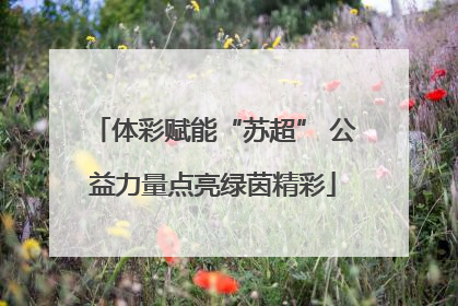 体彩赋能“苏超” 公益力量点亮绿茵精彩