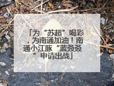 为“苏超”喝彩，为南通加油！南通小江豚“蓝叒叒”申请出战