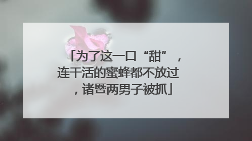 为了这一口“甜”，连干活的蜜蜂都不放过，诸暨两男子被抓