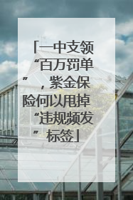一中支领“百万罚单”，紫金保险何以甩掉“违规频发”标签