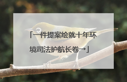 一件提案绘就十年环境司法护航长卷→