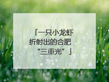 一只小龙虾折射出的合肥“三重光”