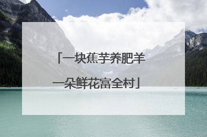 一块蕉芋养肥羊 一朵鲜花富全村