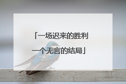 一场迟来的胜利 一个无言的结局