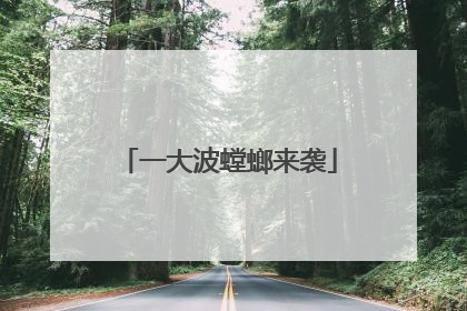 一大波螳螂来袭