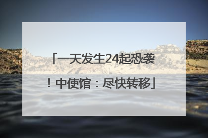 一天发生24起恐袭！中使馆：尽快转移