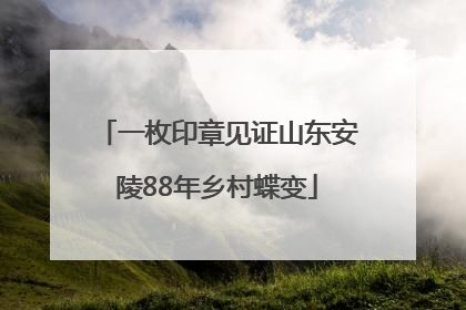 一枚印章见证山东安陵88年乡村蝶变