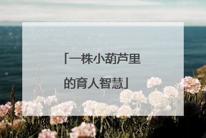 一株小葫芦里的育人智慧