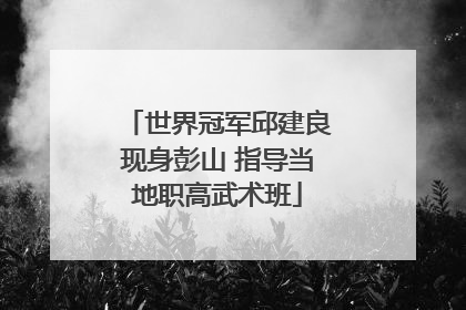 世界冠军邱建良现身彭山 指导当地职高武术班