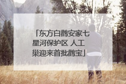 东方白鹳安家七星河保护区 人工巢迎来首批鹳宝