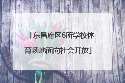 东昌府区6所学校体育场地面向社会开放