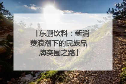 东鹏饮料：新消费浪潮下的民族品牌突围之路