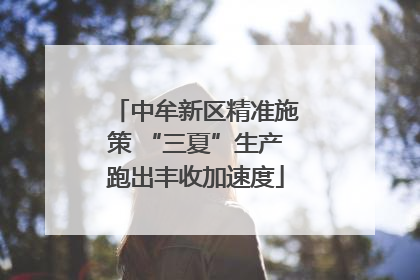 中牟新区精准施策 “三夏”生产跑出丰收加速度