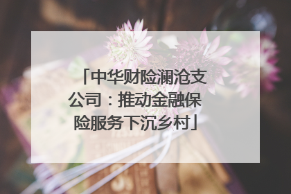 中华财险澜沧支公司：推动金融保险服务下沉乡村