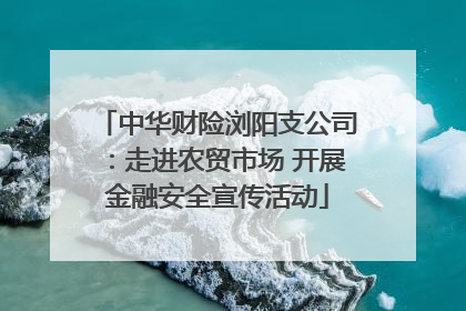 中华财险浏阳支公司：走进农贸市场 开展金融安全宣传活动