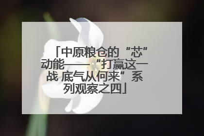 中原粮仓的“芯”动能——“打赢这一战 底气从何来”系列观察之四