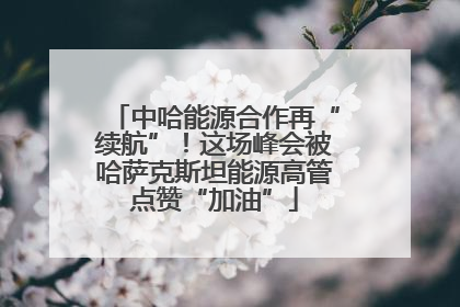 中哈能源合作再“续航”！这场峰会被哈萨克斯坦能源高管点赞“加油”