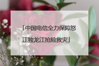 中国电信全力保障怒江独龙江抢险救灾