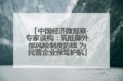 中国经济微观察·专家谈构：筑抵御外部风险制度防线 为民营企业保驾护航
