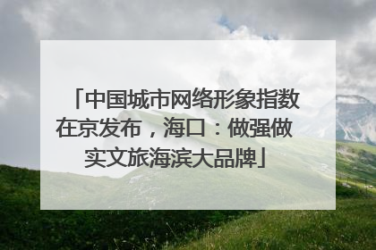 中国城市网络形象指数在京发布，海口：做强做实文旅海滨大品牌