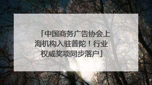 中国商务广告协会上海机构入驻普陀！行业权威奖项同步落户