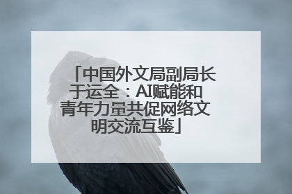中国外文局副局长于运全：AI赋能和青年力量共促网络文明交流互鉴