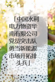中国水利电力物资华南有限公司党员突击队勇当新能源市场开拓排头兵