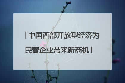 中国西部开放型经济为民营企业带来新商机