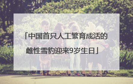 中国首只人工繁育成活的雌性雪豹迎来9岁生日