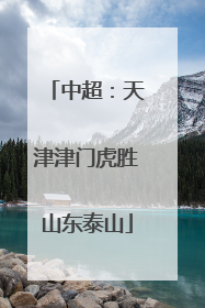 中超：天津津门虎胜山东泰山