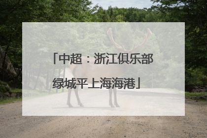 中超：浙江俱乐部绿城平上海海港
