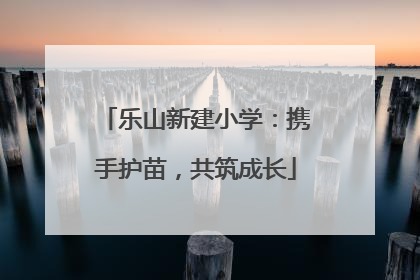 乐山新建小学：携手护苗，共筑成长