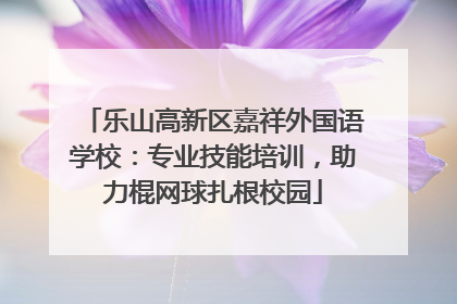 乐山高新区嘉祥外国语学校：专业技能培训，助力棍网球扎根校园